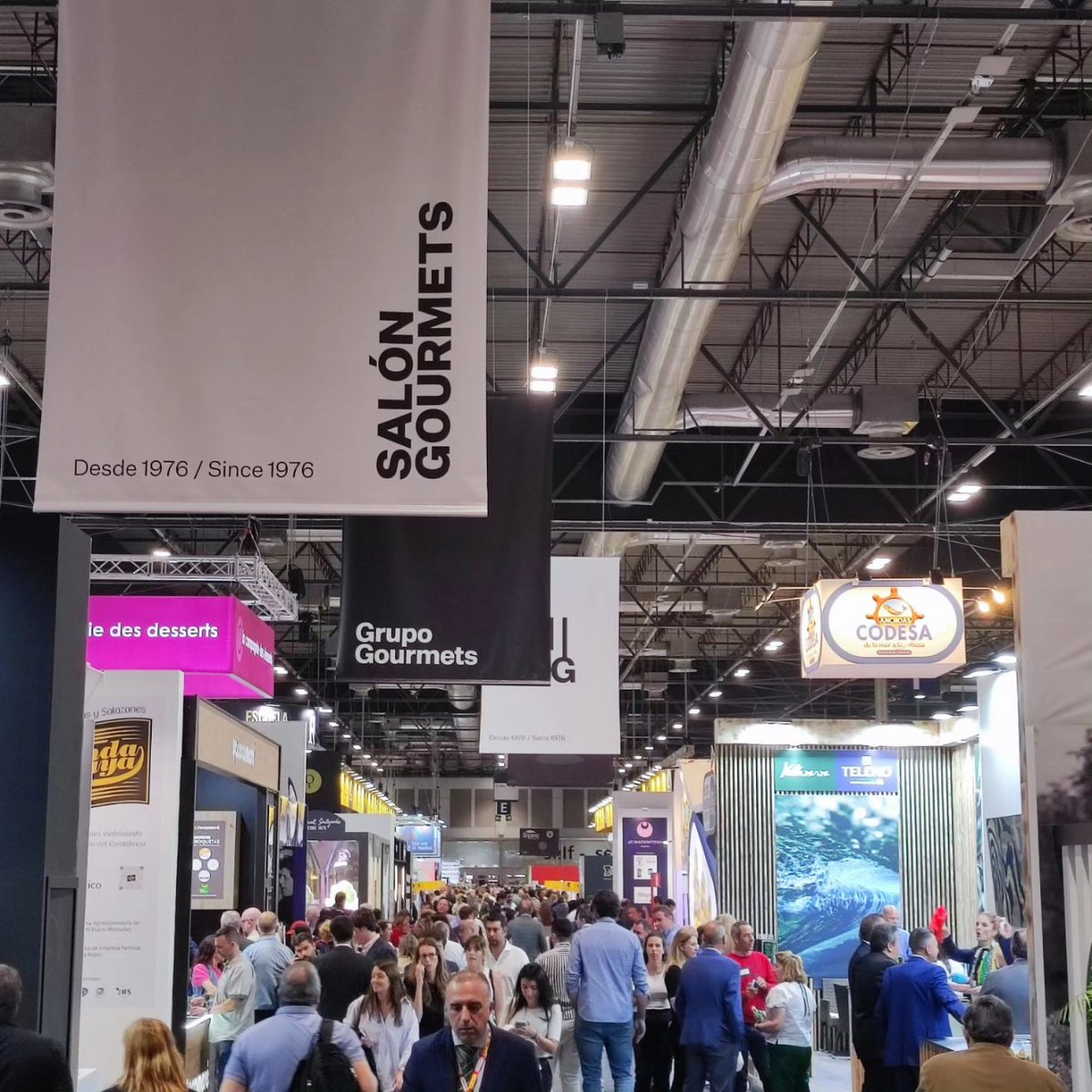 grupohermi's tweet photo. A nuestro paso por el Salón Gourmet 2023 nos ha encantado descubrir nuevas marcas y coincidir con colaboradores tan estupendos como @alimentosVALL @AlquimiaVll @ahinojal #ElbombonValladolid
#salonourmet23 #hermi #grupogourmet #carnedeconejo #sg23 https://t.co/3tdLVemglE