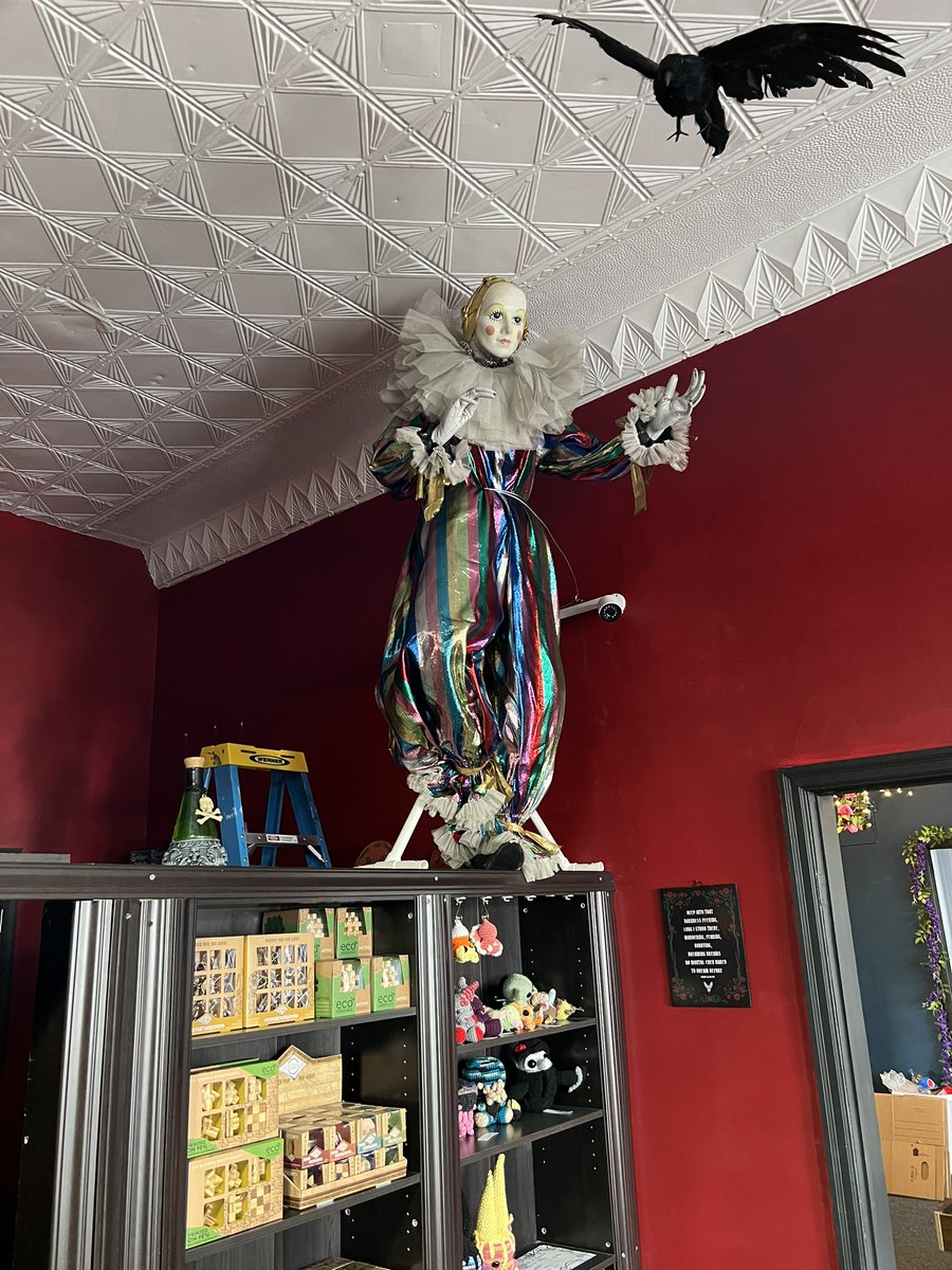SarahFrightmare's tweet photo. We call her Janice lol #cravenandcaster @cravenandcaster #horror #witchy #curios #curioshop https://t.co/Syt9Ed0n80