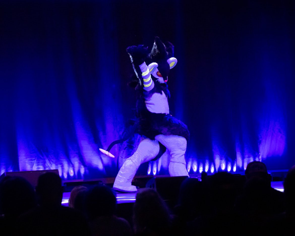 LightningSFurs's tweet photo. @StarberryDream Some good leggie shots from my luxray suit I finished recently 😁✨ https://t.co/nbFOVmaqCI