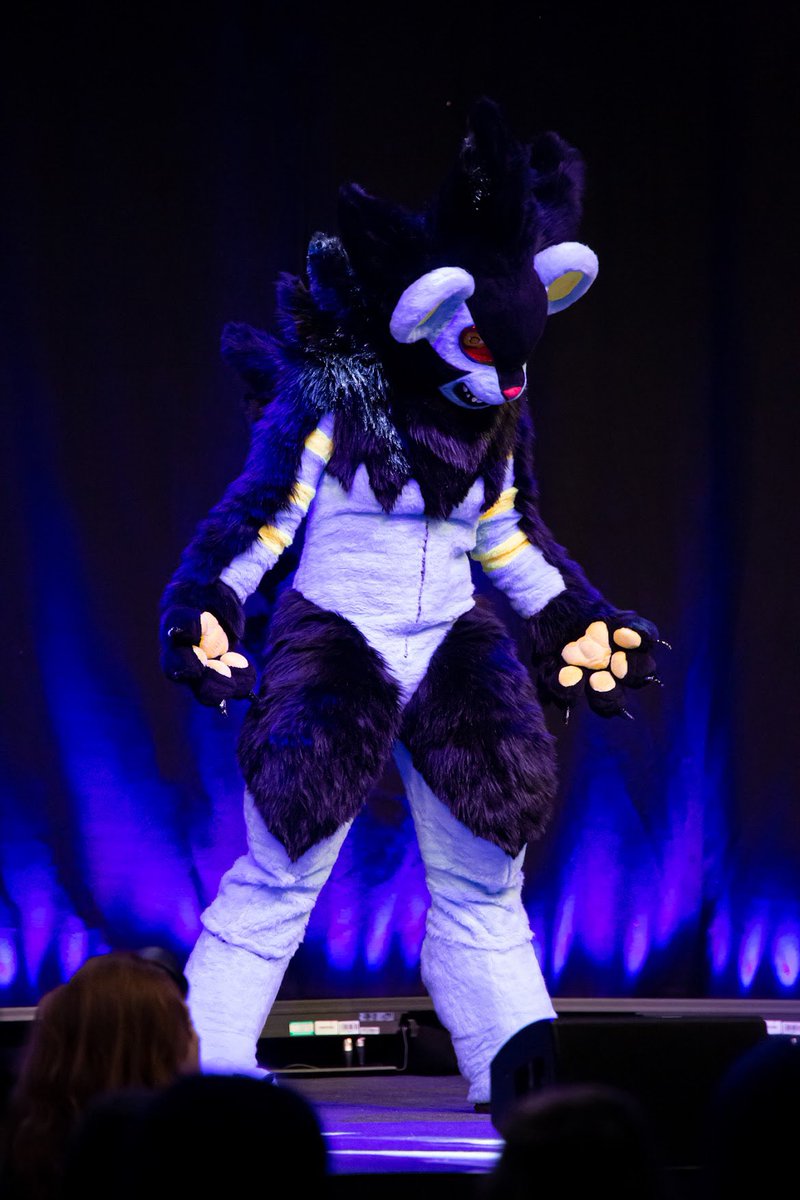 LightningSFurs's tweet photo. @StarberryDream Some good leggie shots from my luxray suit I finished recently 😁✨ https://t.co/nbFOVmaqCI