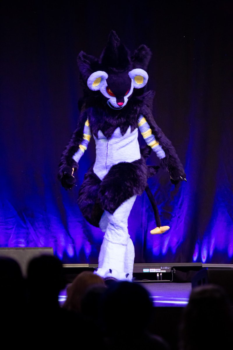 LightningSFurs's tweet photo. @StarberryDream Some good leggie shots from my luxray suit I finished recently 😁✨ https://t.co/nbFOVmaqCI