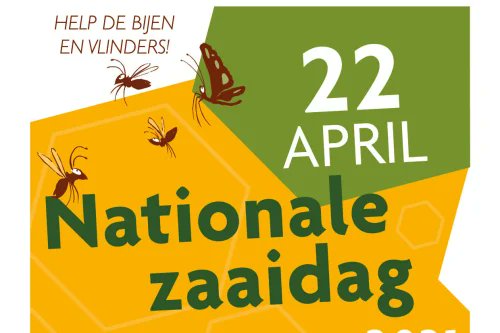 Morgen is het #nationalezaaidag!  Al bijna 50 #basisscholen in Den Haag zijn aan het ontdekkend #tuinieren samen met onze docenten. Tip van onze tuindocent: Maak zaadbommetjes met inheems bloemenzaad en help de bijen. <a href="/Bijenlint/">Bijenstichting</a> #onderwijs #natuureducatie #groenevingers