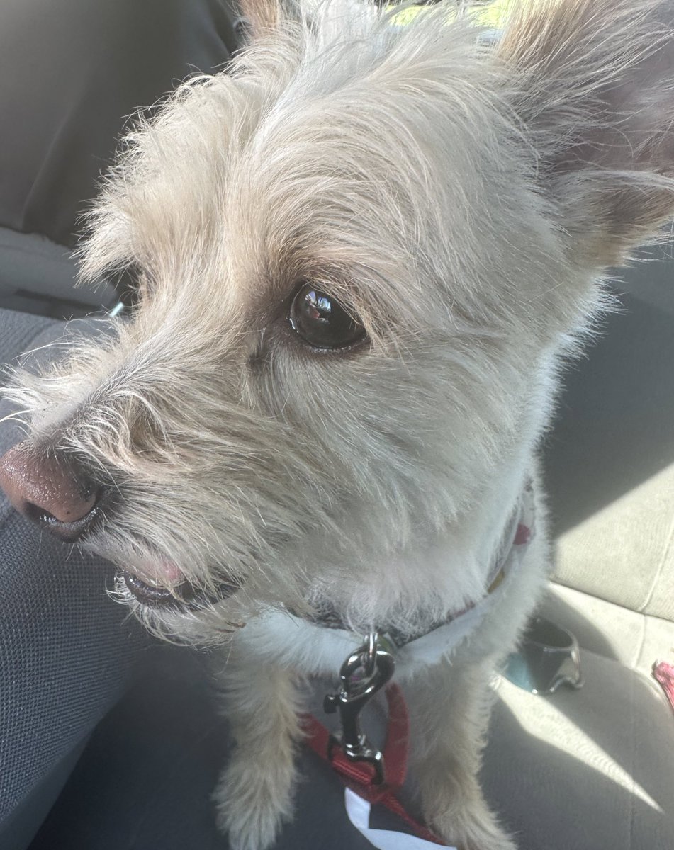 Tokyo Toni Braxton Hicks tweet media