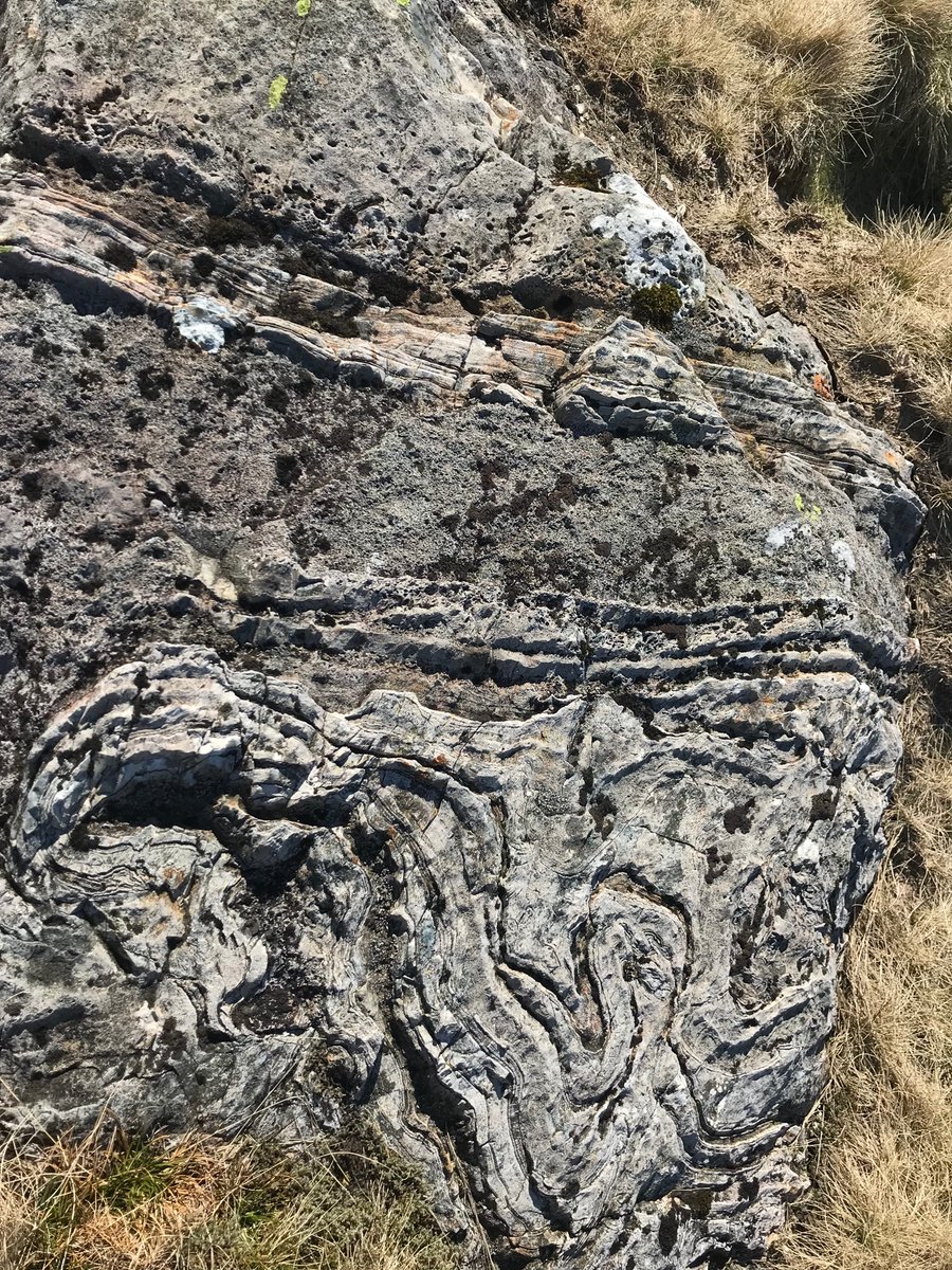 TLWforCumbria's tweet photo. PPS Silent Ring Ouzel amongst the rocks… (only one stile today too) # Desolation  

And one water bottle 😥 …
#Dessication https://t.co/TWjD1PYOf8