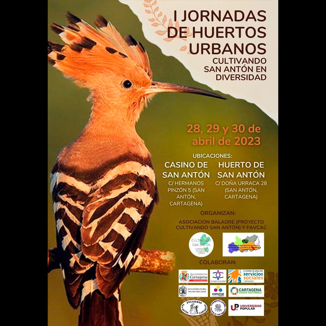 avvpsa's tweet photo. I Jornada de huertos urbanos
#poligonosantaanacartagena #construyendobarrio #avvpoligonosantaana #clubmayoresmayorazgo #dinotorresdealtatension #unlocalsocialyaenpoligonosantaana #FAVCAC #asociacionbaladre #sananton https://t.co/30gkQMasoR