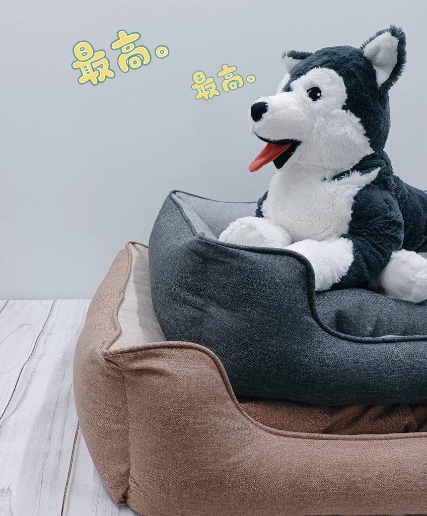 adorablepets_OS's tweet photo. サイズ感が分かりにくいんですが、IK○Aさんの大きいわんこぬいぐるみが乗れちゃう大きさのベッドも頑張って持ってきて販売します～🚩
このベッド実は機能が…文字数…
#ペットベッド #夏用 #犬のいる暮らし #猫のいる暮らし #おいでよファミーセール #adolabo #Lサイズ #わんにゃん  #大阪 #堺筋本町 https://t.co/UVmM7ykhDp