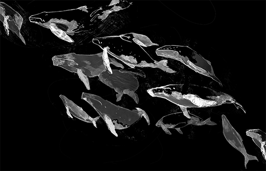 Next in our animal-themed lineup, Mexican author Yolanda González presents the gift of seeing the world through a pod of resilient whales as they swim through seas made treacherous by us.

Moving and lyrical, “Song of the Whale Road” is a call to action: bit.ly/41uQcRR