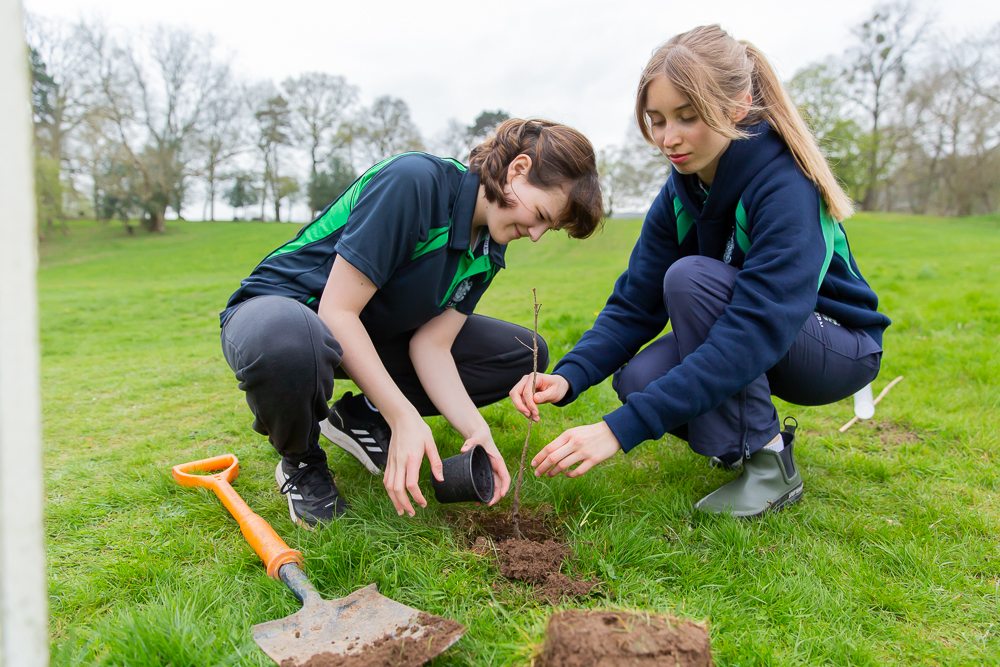 Our Environmental Action Group and Grounds Team have joined forces to help Malvern College join the #IDigTrees initative. Planting 50 trees across the campus, our EAG is taking another step to help our very important sustainability journey. 🌳🌲