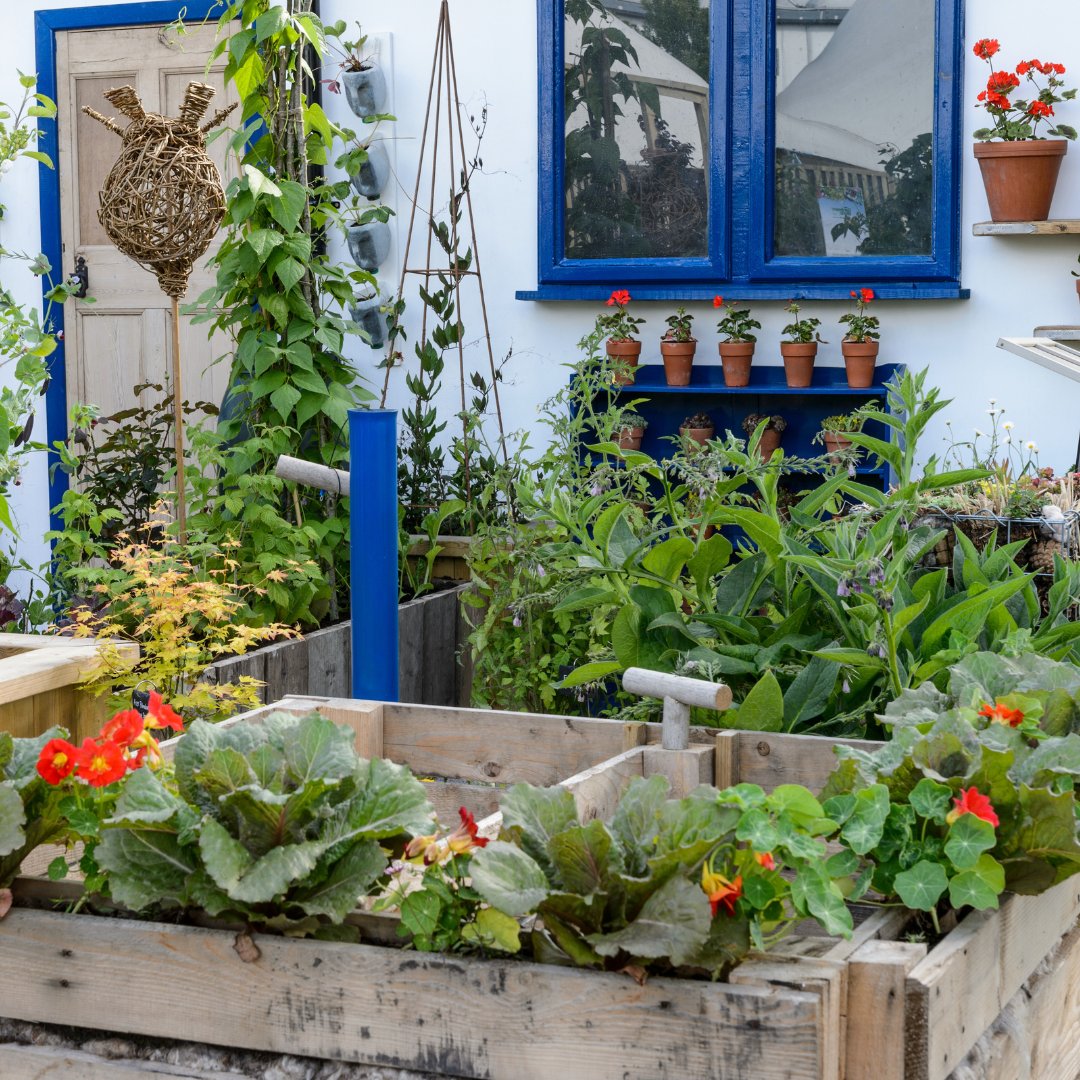 BBCGWLive's tweet photo. Get the most out of #BBCGWLive and #BBCGFSS with two-day tickets and see twice the experts, do twice the shopping and get twice the garden inspiration.
With a Show-load of fun to enjoy, find out more about two-day tickets here: https://t.co/Fh34Eo3qGQ https://t.co/OlS9BMolE8
