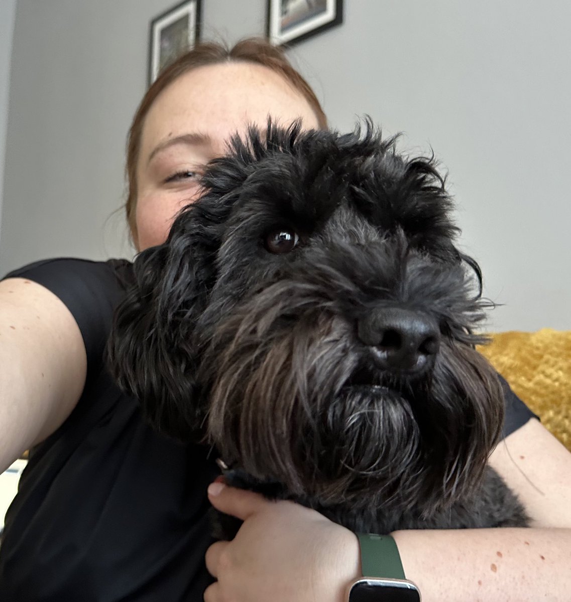 Today I found out I passed my Professional Nurse Advocate course! #professionalnurseadvocate #PNA So proud and can’t wait to use the new skills in practice! To celebrate here’s a pic of me and my beautiful doggo ❤️