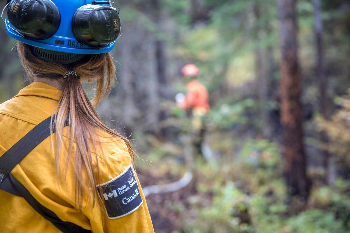 📢#TerraNovaNP is hiring a Resource Management Officer - Fire Technician. Apply today! Details: ow.ly/poQF50NNQ8C Deadline: April 25, 2023