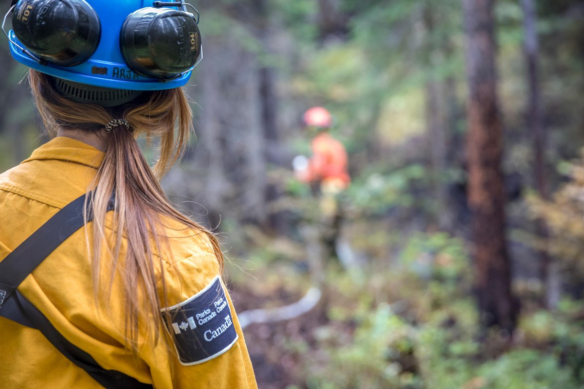 📢#TerraNovaNP is hiring a Resource Management Officer - Fire Technician. Apply today!

Details: ow.ly/poQF50NNQ8C  
Deadline: April 25, 2023