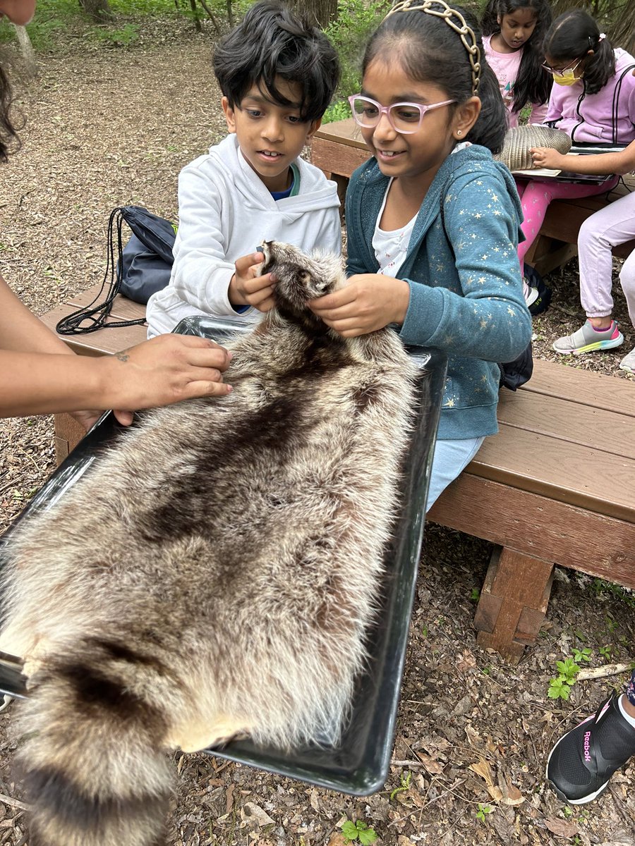 MissMcCornack's tweet photo. Nature hikes, habitat survival games, mammal exploration, oh my!!! Our 2nd grade field trip was AMAZING!💛 https://t.co/raVxnWdMEI