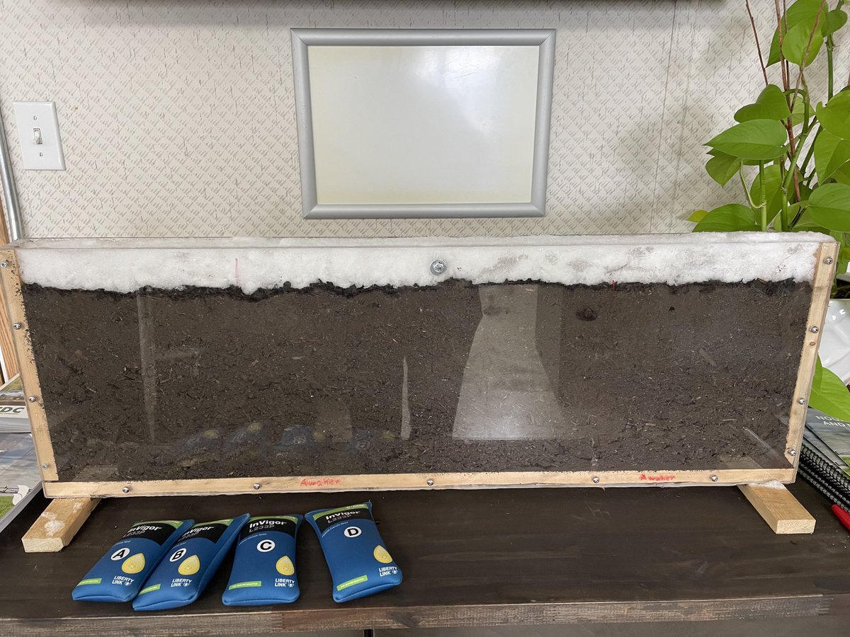 midgehunter's tweet photo. Just got a skiff of snow on our Awaken St trial. Come into Nutrien Outlook to have a look! https://t.co/bBJcgnGk3F