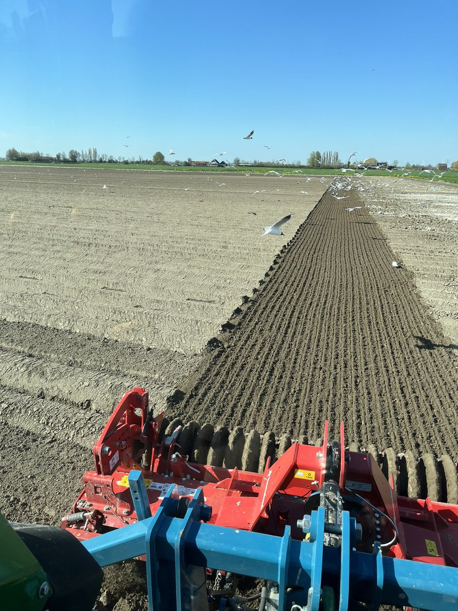 Rickjd3050's tweet photo. Aardappels poten loopt mooi door op de zavel https://t.co/La4BA9Cc6W