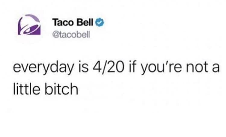 cannaworldsite's tweet photo. https://t.co/9mpi7OMlFI