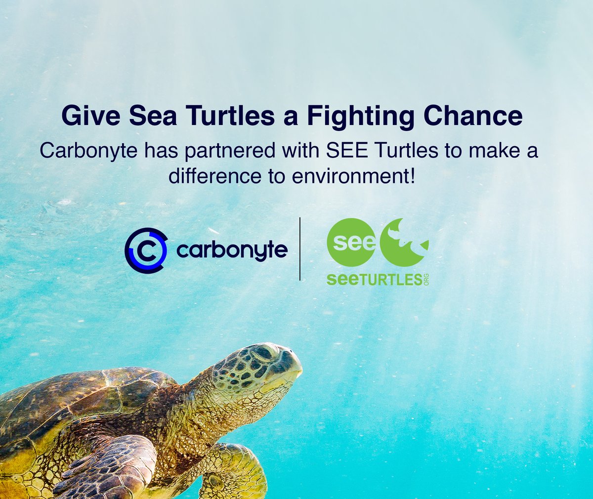 carbonyte_io's tweet image. We're thrilled to partner with @SEEturtles to support their mission of protecting sea turtles and their habitats. 
On every sign up, we'll donate to @SEEturtles to release a baby turtle into the wild.

#Carbonyte #SeeTurtles #SustainableBanking  #SaveTheTurtles #EthicalLiving