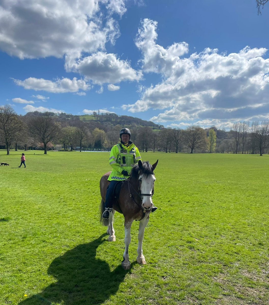 GMPHorses's tweet image. Today we have been supporting colleagues in #Bury on #OpAVRO PH Little Dorrit &amp;amp; Jaggers have been deployed in the town dealing with anti-social behaviour. PH Hexam managed to locate an abandoned vehicle in #Ramsbottom the driver of which was last seen running towards the swings.