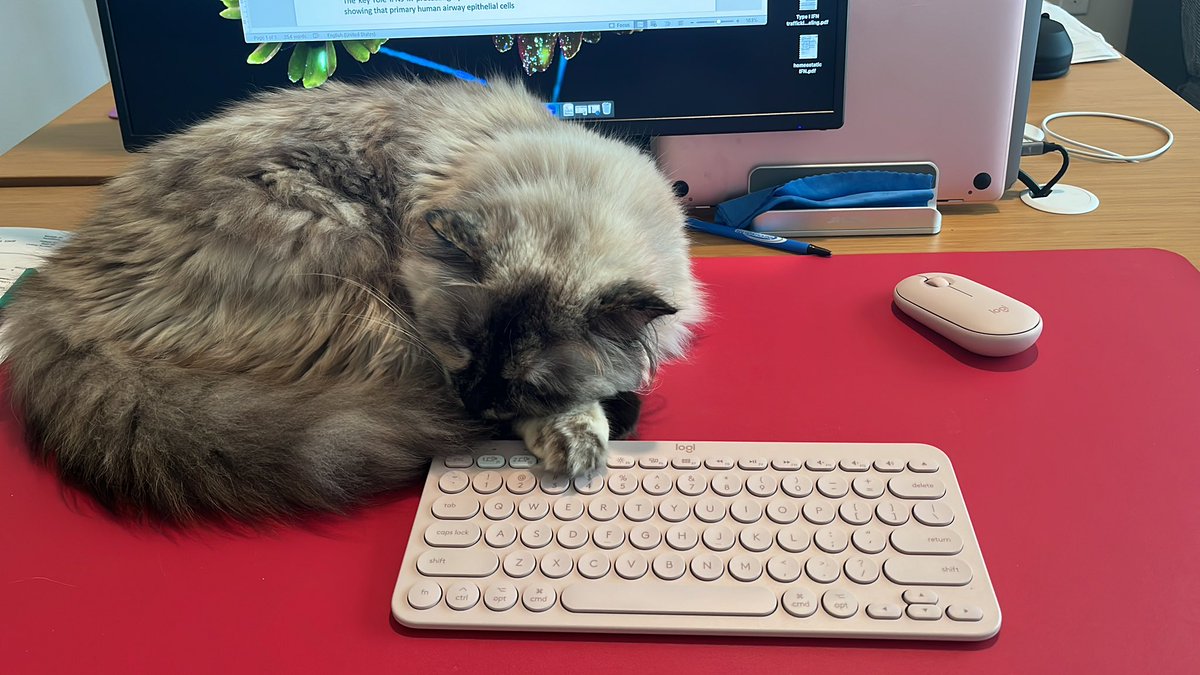 Megan Stanifer tweet media