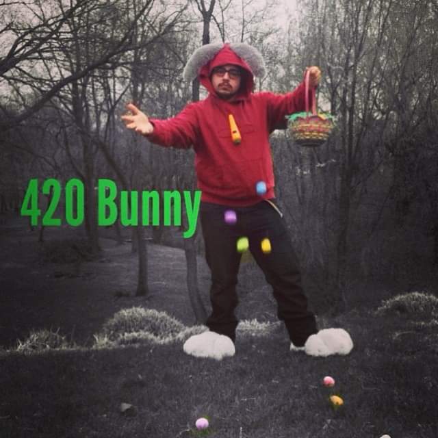 creaturesofthe's tweet photo. Happy 420! #happy420 #420bunny #420 https://t.co/p7g6Rxb7Ya