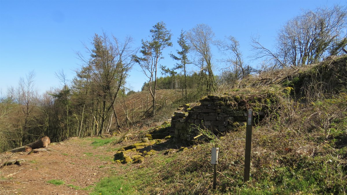WaltonBob's tweet image. On Suffield Moor, the remains of a lime kiln beside a track that was probably used by pack horses. Lime was made in the C19 from limestone nodules (the ridge here is named Flockrake Noddle) to improve the heavy clay farmland in these parts. An interesting #historicplace.