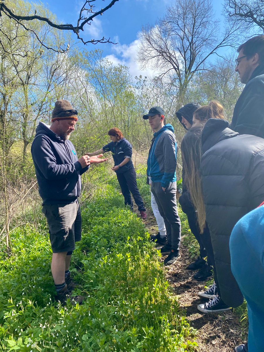 ScranAcademy tweet media