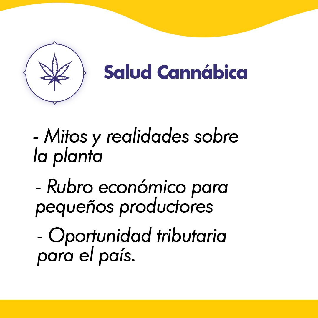 CodasHernan's tweet photo. ¿Aún no sabes cuáles son mis propuestas para cambiar el Paraguay? Conocelas acá 🤲🟡 #CodasSenador #ElCambioYaLlega https://t.co/azWkopw8Ix