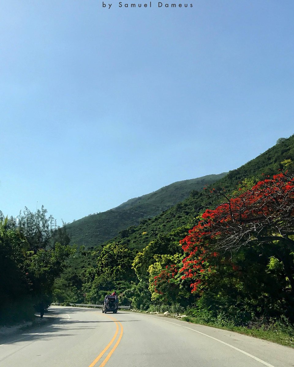 fojemorg's tweet photo. Bonjour et Bonne journée 🇭🇹
📍Montrouis, Haiti
|#imagedujour|
.
.
.
.
By: Samuel Dameus
@haytiens @Haitienesp @Haitianaute https://t.co/1Z9uV09cg0