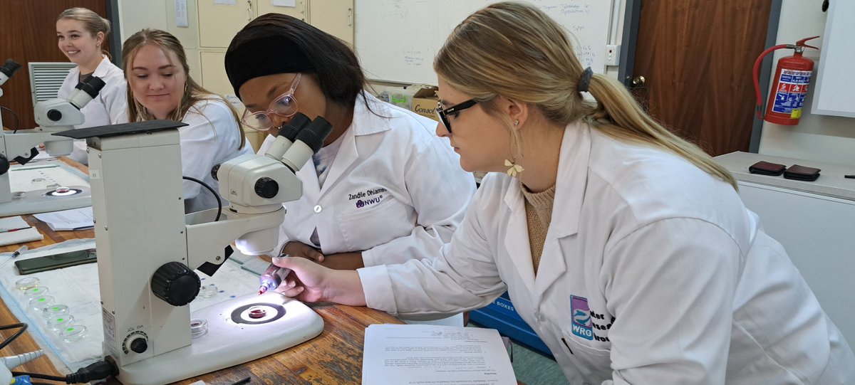 TruterMarliese's tweet photo. #Stainingtechniques were the hot topic for the #aquaticparasitology honours students of the @NWU_WRG @NWU_UESM this week!
#goodoldfashioned #techniques #morphology #Monogenea #Cestoda #Nemtoda https://t.co/7zAGIpwl8v