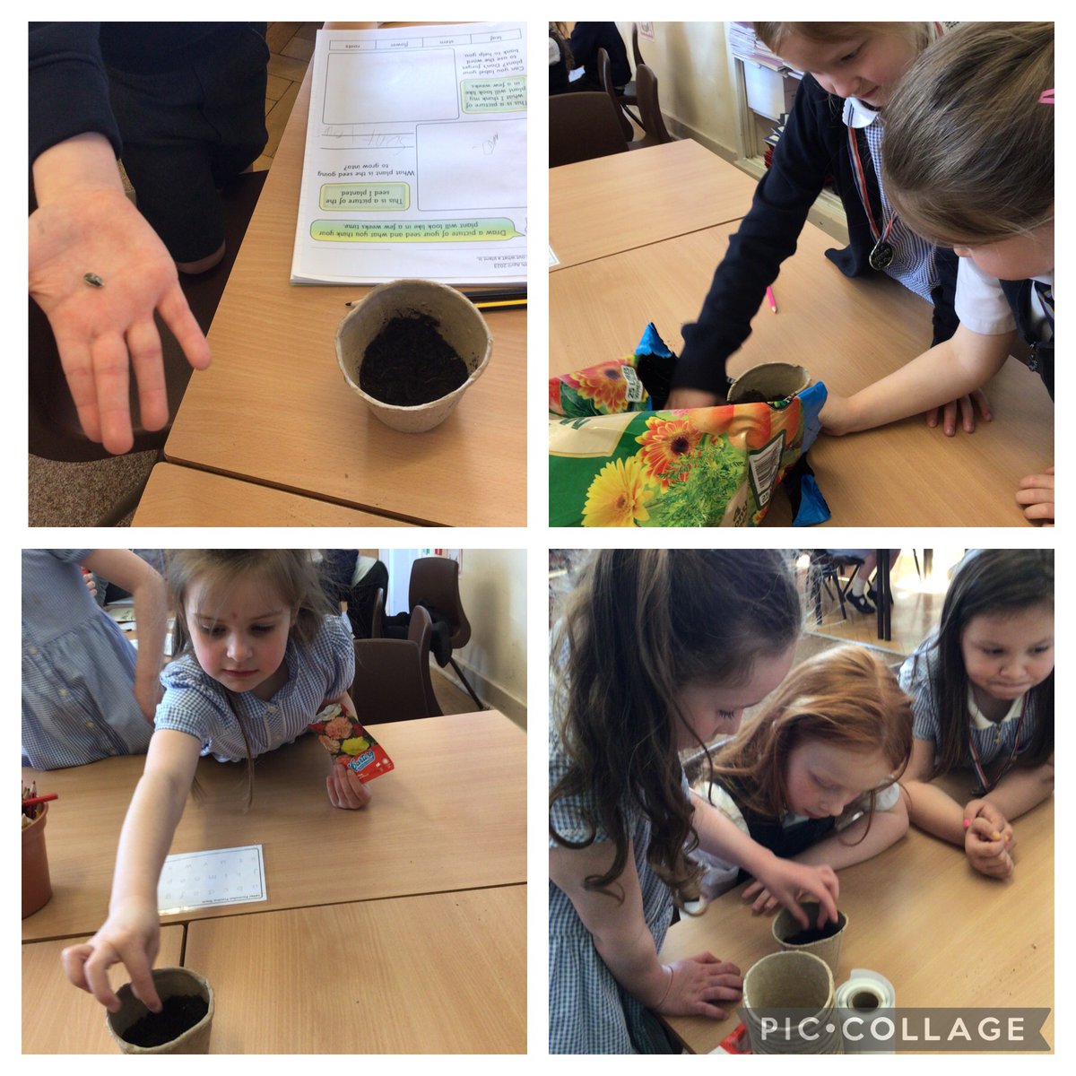 We had great fun planting seeds today. We can’t wait for our plants to grow. #MakeADifference #ScienceOLOL @ololprimary_HT