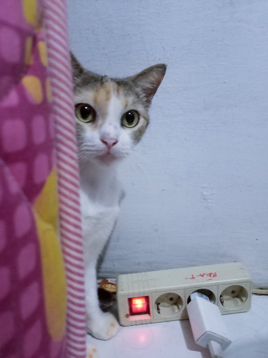Rzaf_29's tweet photo. Yah ga kejatah THR🥲🥴
 #owoy #owigemoy  #العيد_الجمعه #tren #THR #ramadhan2023 #koceng #cat #belo #pemburucicak #bumil #cantik #prettypregnant #ditinggalmudik https://t.co/eeZW6KK6Mw