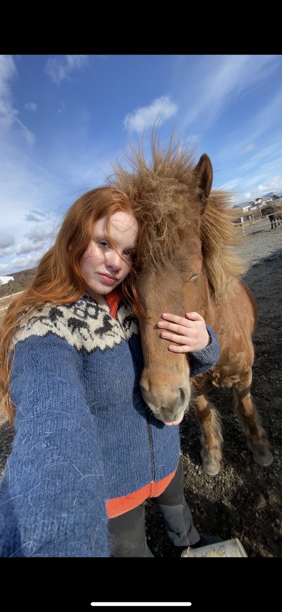 AsaGinger_'s tweet photo. Frænka mín var með mér í reiðtúr og var vitni af þessu öllu saman. Þvílík apalæti. Mun aldrei gleyma þessu. Hér er mynd af sætu Yrju❤️‍🔥🐎 https://t.co/dlpJC3iqpP