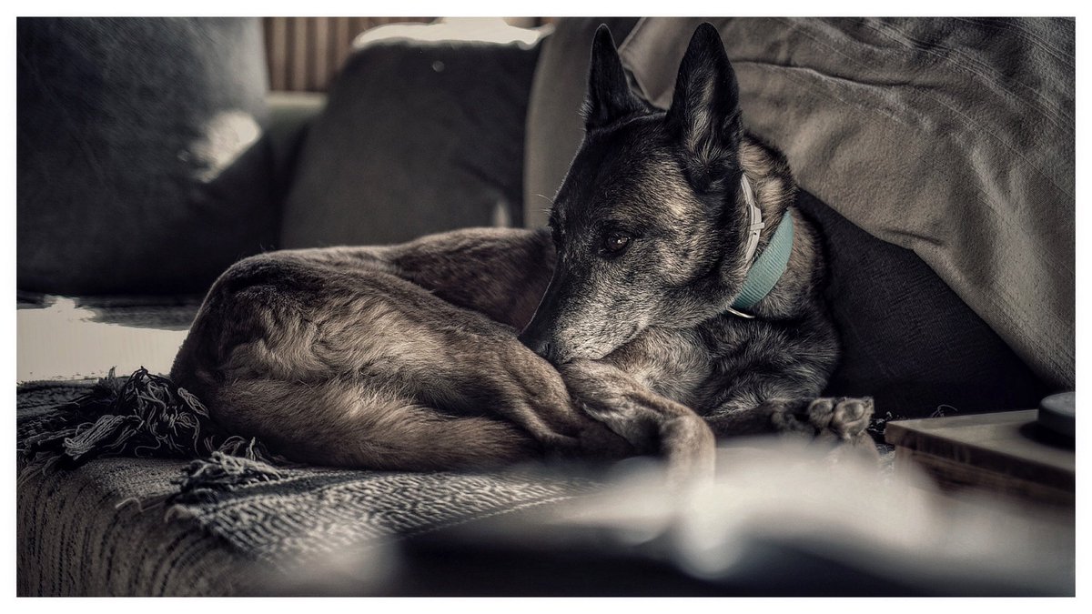 Panda. Autistična 
#vježbatisemora