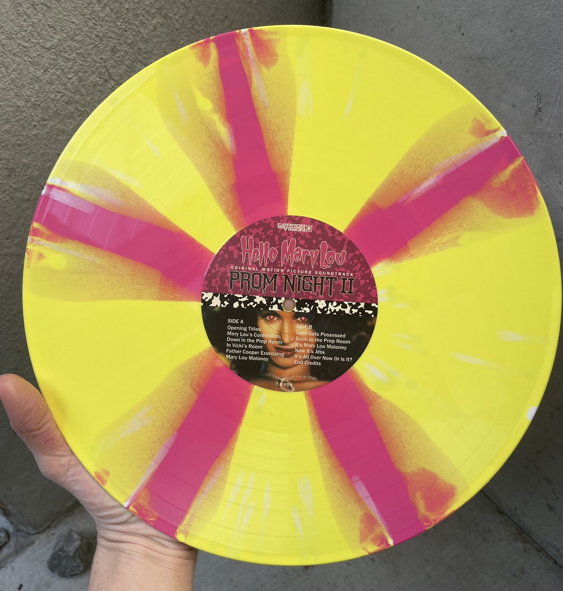 Terror Vision Records & Video tweet media