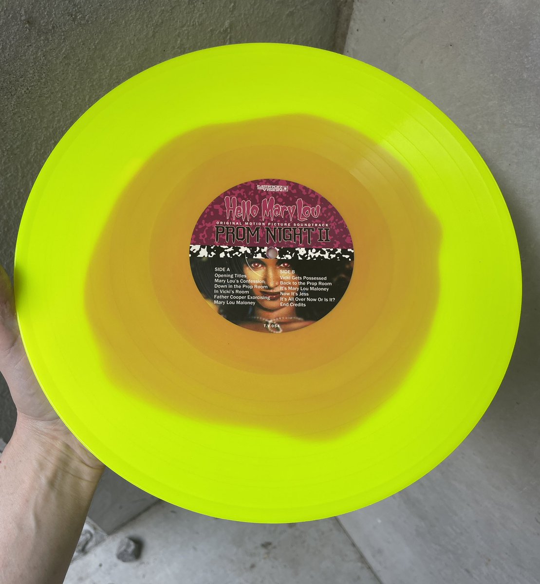 Terror Vision Records & Video tweet media