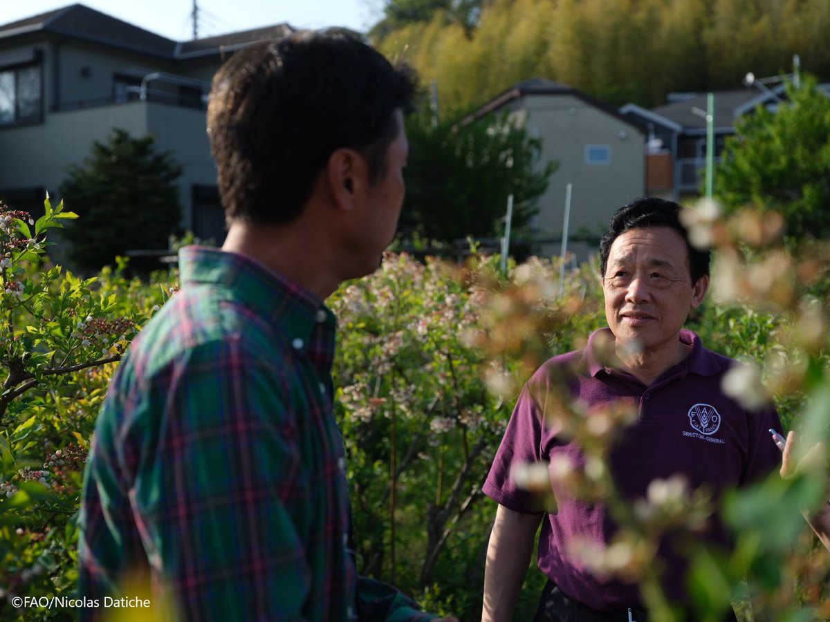 FAODG's tweet photo. My visit to a family farm in Yokohama, Japan highlighted the importance of supporting smallholders. Our #FoodSecurity &amp; future depend on these #FoodHeroes, so we must ensure they have the resources, tools &amp; technology they need to produce in harmony with our planet. #4Betters https://t.co/I486wXui2O