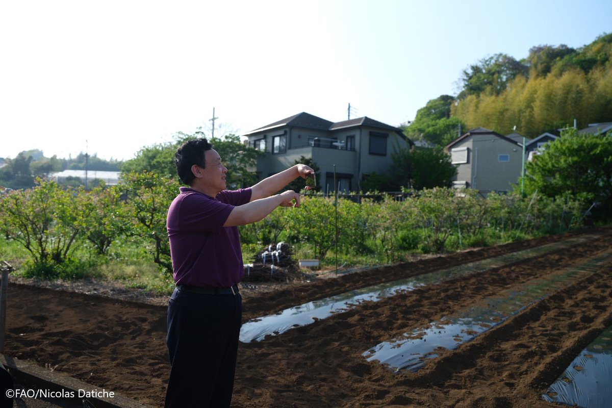 FAODG's tweet photo. My visit to a family farm in Yokohama, Japan highlighted the importance of supporting smallholders. Our #FoodSecurity &amp; future depend on these #FoodHeroes, so we must ensure they have the resources, tools &amp; technology they need to produce in harmony with our planet. #4Betters https://t.co/I486wXui2O