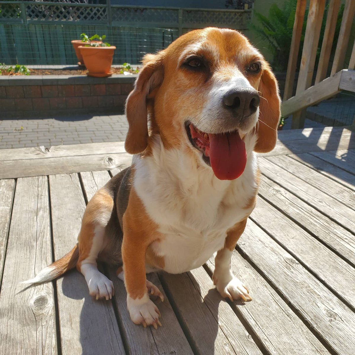 Kylee Dunham tweet media