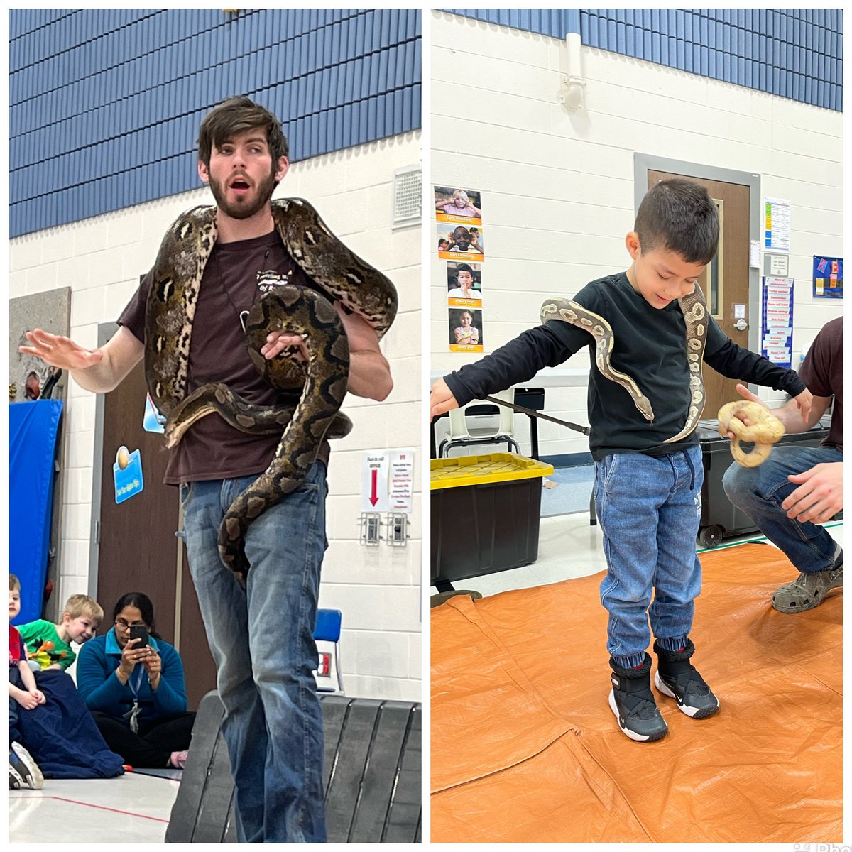 Lissa Blake tweet media