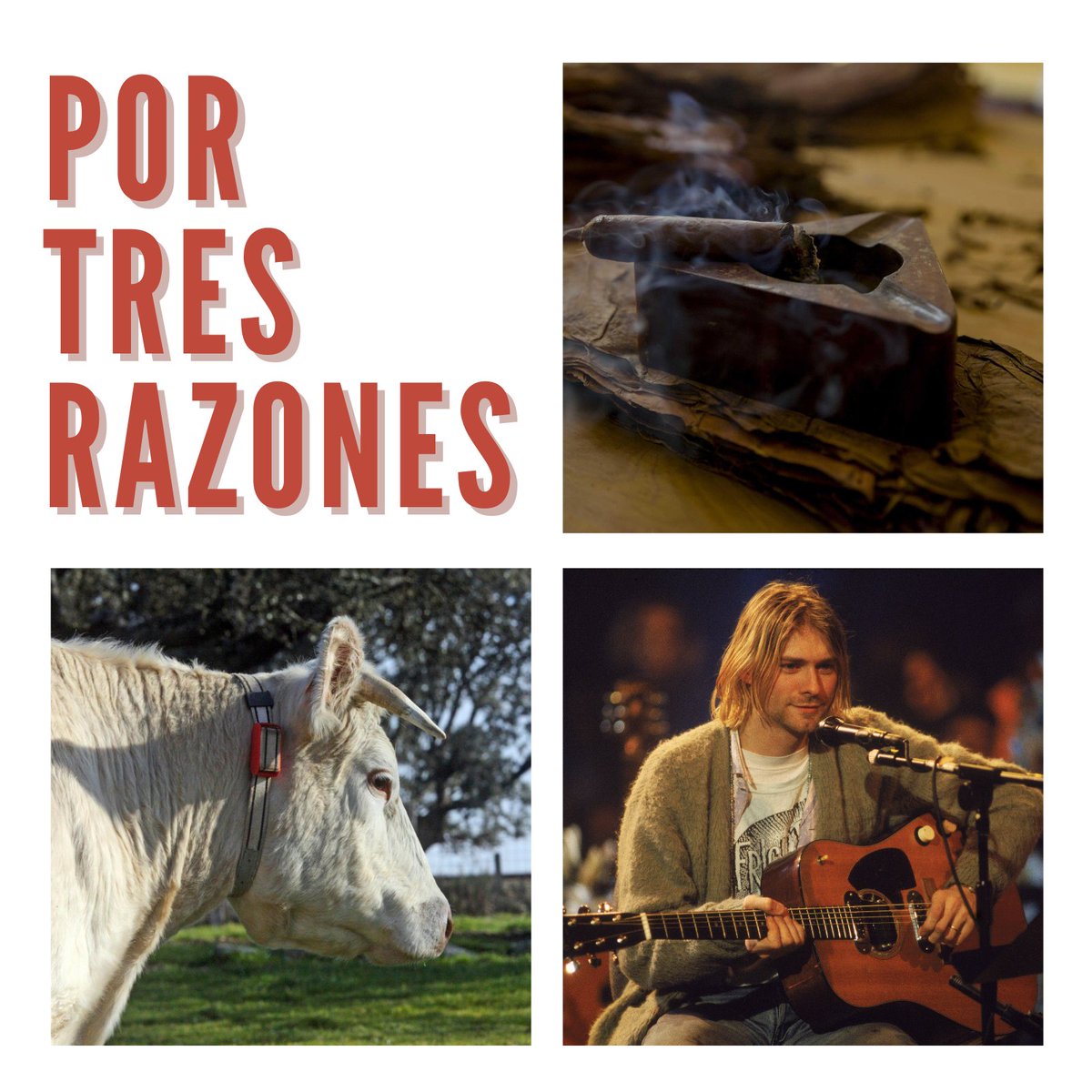 ¡Arrancamos! 

 🚬Hace 3000 años ya se consumían drogas en Europa <a href="/UVa_es/">Gabinete de Comunicación Universidad de Valladolid</a> 

🐄Innovación tecnológica en el mundo rural <a href="/Hispasat/">Hispasat</a> <a href="/Despelta/">La Espelta Y La Sal</a>

🎼Curiosidades sobre el 'Club de los 27'

👇
🔴DIRECTO rtve.es/play/radio/
▶️PODCAST rtve.es/play/audios/po…