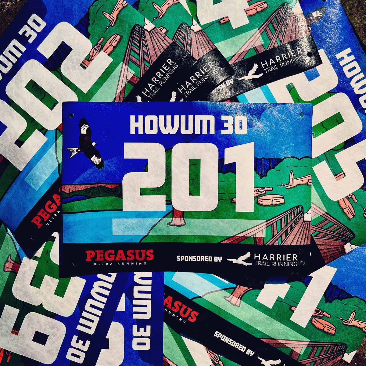 PegasusUltraRun's tweet photo. Raising our bib game for the HOWUM ❤️

It’s been fun designing these beauties with Christopher Allen 🎨 

Sponsored by Harrier Trail Running 🦅

#TheHOWUM #TrailRunning #IsForEveryone #RunWithPegasus https://t.co/yuei60bRbr