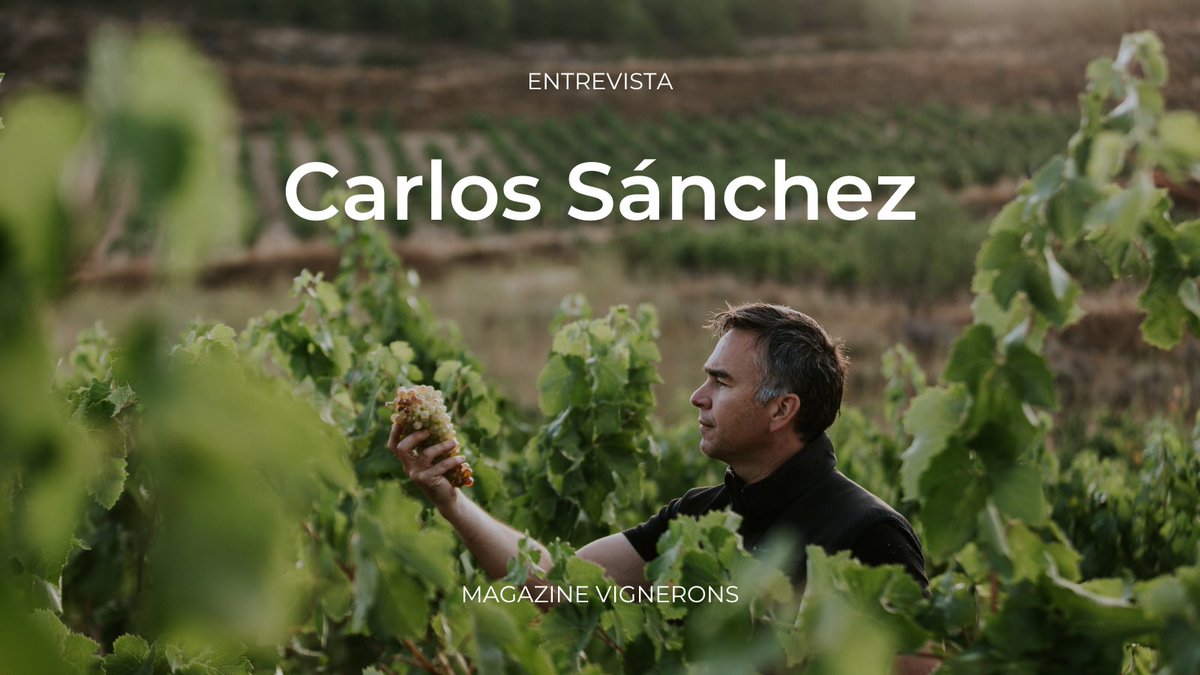 bodeboca's tweet photo. 🍷 Hoy estamos de estreno con los vinos riojanos de Carlos Sánchez y hemos charlado con él para nuestro #MagazineVignerons
Un elaborador que cambió las aulas por las viñas y que se define como humilde, inquieto y exquisito con los detalles.
🔗 https://t.co/FG9PtPsMYQ https://t.co/1d1WPR1Qnl