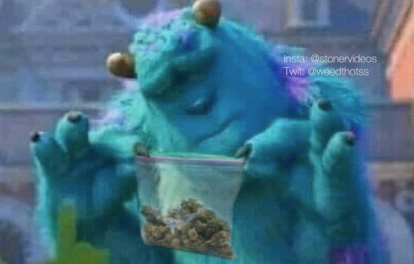 weedthotss's tweet image. me when i pick up that fresh za for 4/20
