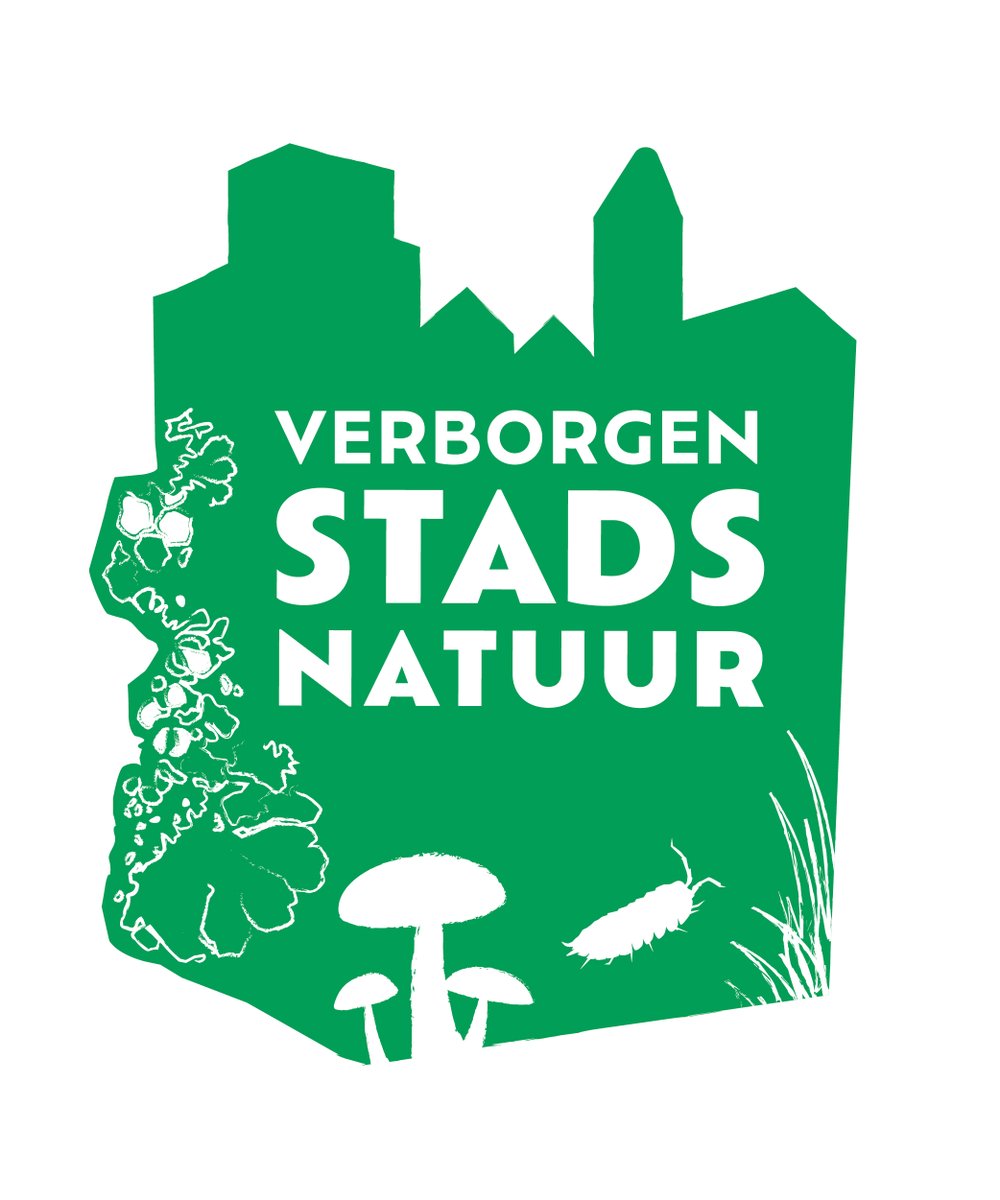 verborgennatuur's tweet photo. Nieuw bij Verborgen Stadsnatuur? Welkom! 👋

Samen onderzoeken we de verborgen natuur in de stad. Volg ons account en blijf op de hoogte van de verborgen #stadsnatuur om je heen, en ontdek het zelf. 

Je kunt ons de komende tijd zowel online als in de stad herkennen aan dit logo! https://t.co/p8eJRw5TLy