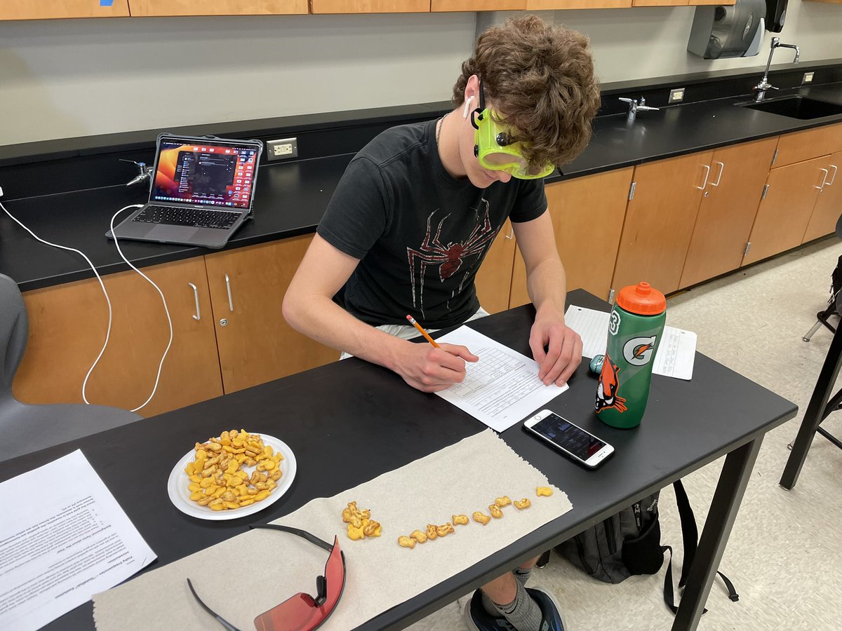 MrNicholsBio's tweet photo. Last week we modeled natural selection and genetic drift through the use of cheddar &amp; pretzel goldfish. These “hungry sharks” REALLY loved eating cheddar goldfish and avoided the pretzel ones at all cost, which means that over a few generations we saw a major shift in population! https://t.co/QYNzQ9CIef