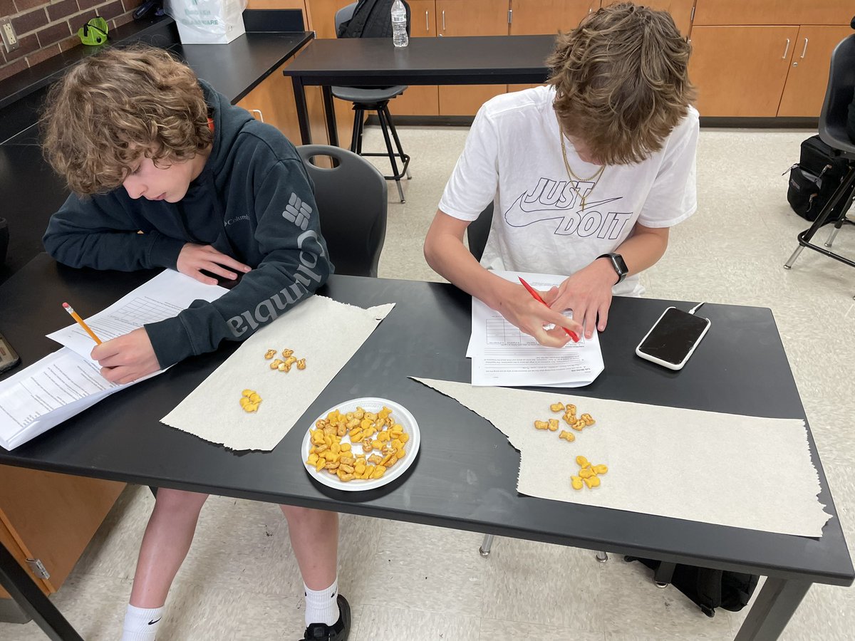 MrNicholsBio's tweet photo. Last week we modeled natural selection and genetic drift through the use of cheddar &amp; pretzel goldfish. These “hungry sharks” REALLY loved eating cheddar goldfish and avoided the pretzel ones at all cost, which means that over a few generations we saw a major shift in population! https://t.co/QYNzQ9CIef