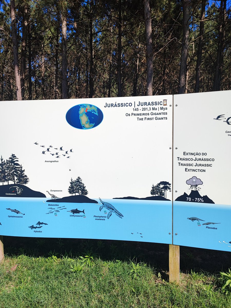 Viton_Inigo's tweet photo. I really love the chronostratigraphic scale display in #Dinoparque (Lourinhā, Portugal)
"The future starts today! I want to be part of the change!"
#Timefulness #EJIPIMERP2023 https://t.co/rjfe5kVG26
