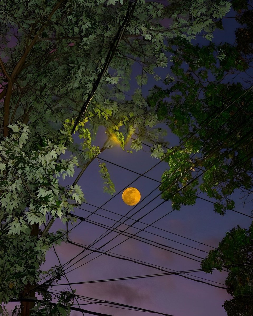 M1ONLOVER's tweet photo. Moon, the queen of the night. https://t.co/th8FUyZlKv