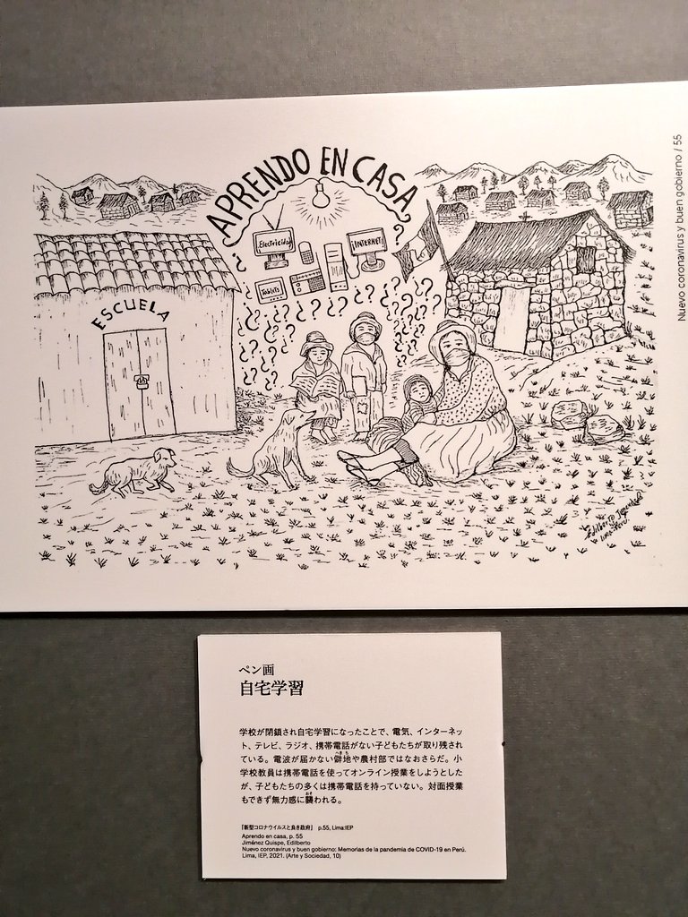 特にお気に入り展示物など
①「男の取り合い」ペルー高地のサルワ村で人々の日常生活を描いた板絵
②「孤独なクエカ」チリで作られるパッチワークの壁掛け絵(=アルピジュラ)
③「自宅学習」新型コロナウイルスによるペルー社会の混乱を描いた画集の中の1枚
④「仮面(犬)」🐶