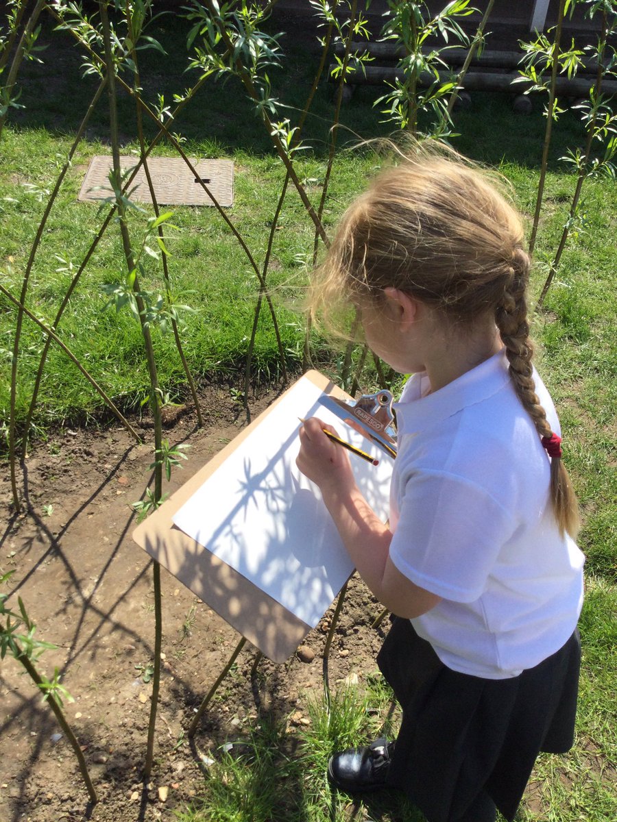 ThamesideSch's tweet image. Introducing our new art topic and focus artist in YSC today. #YSCtps #Arttps #Georgiaokeefe #lookingatflowerscloseup